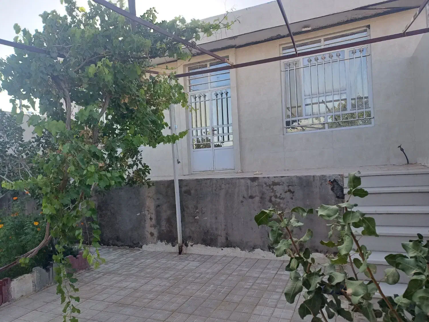 فروش ملک|فروش خانه و ویلا|تربتحیدریه, بالا ولایت|دیوار