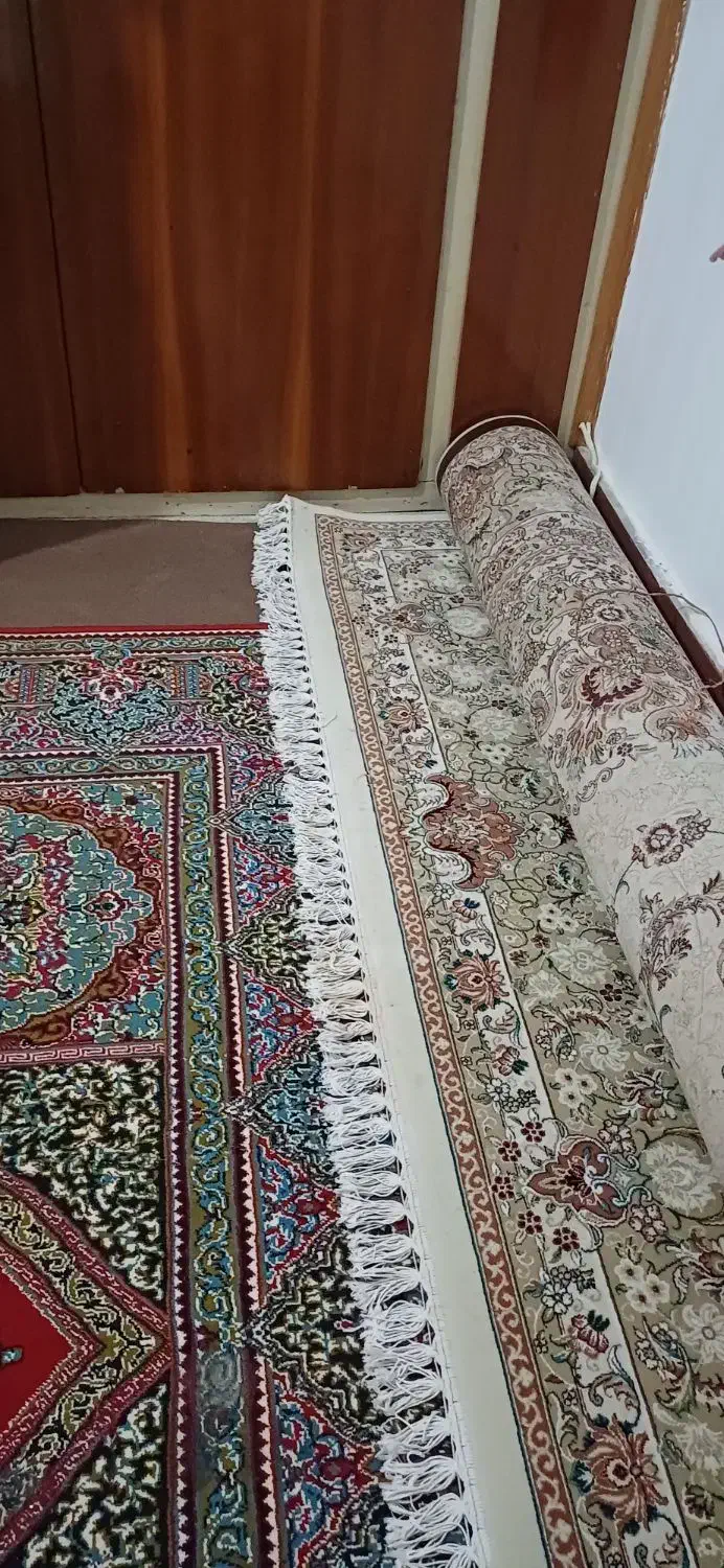 فرش ماشینی 700 شانه بافت مشهد (۴×۳)|فرش|گنبد کاووس, |دیوار