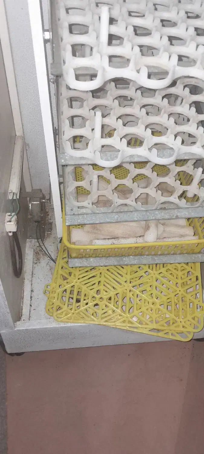 دستگاه جوجه کشی هما 60غاز 168مرغ|ماشینآلات صنعتی|انبارآلوم, |دیوار