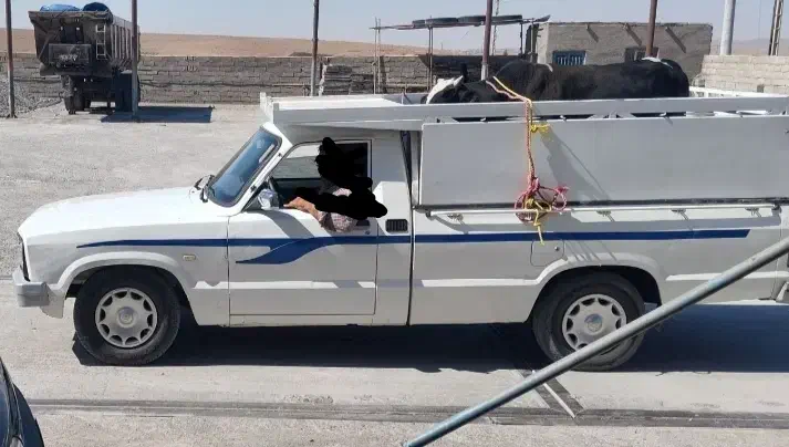 مزدا مدل ۹۶ ۲۰۰۰|خودرو سواری و وانت|بیرجند, |دیوار