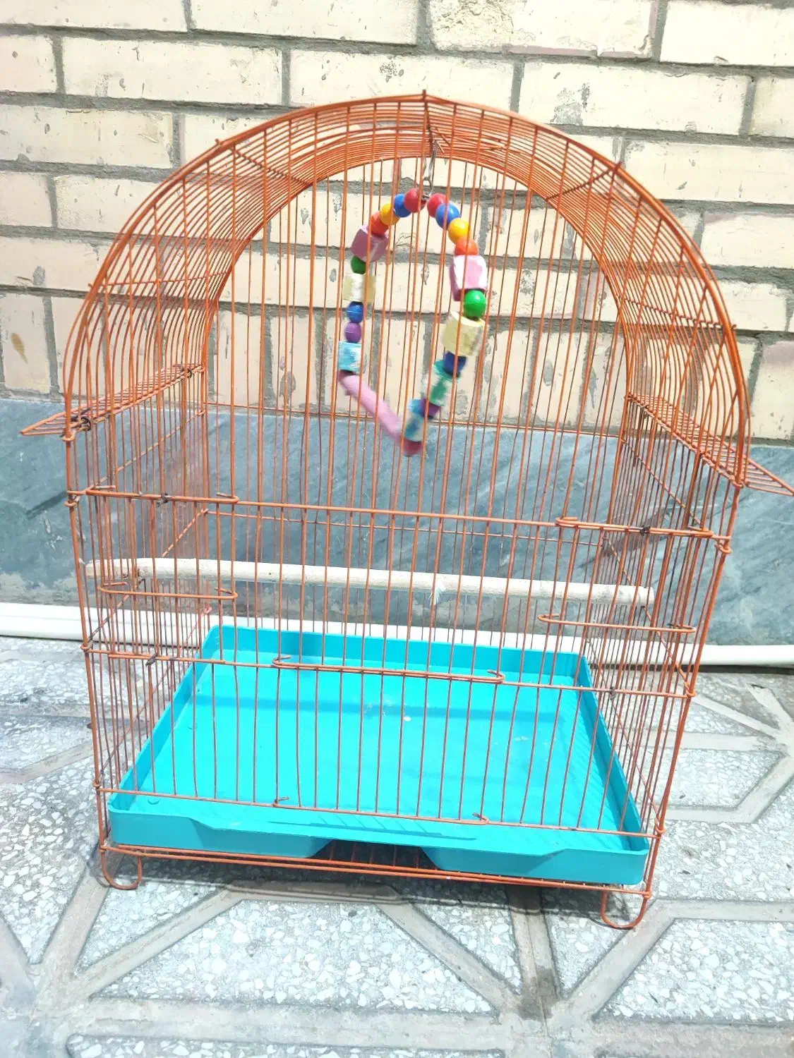 قفس پرنده|لوازم جانبی حیوانات|طبس, |دیوار