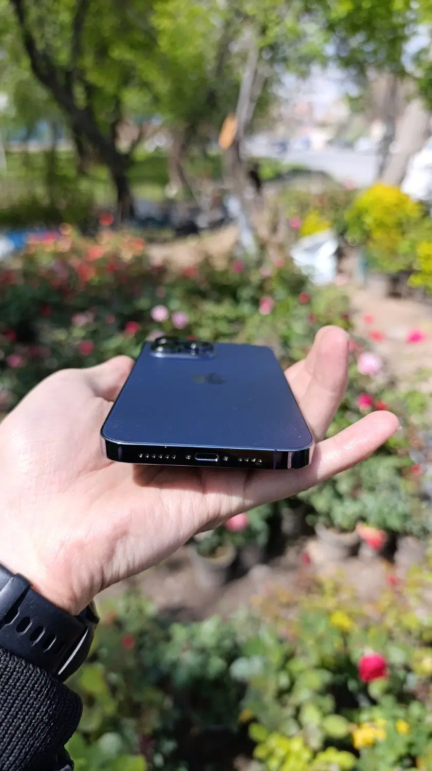 Iphone 14 pro max|موبایل|مراغه, |دیوار