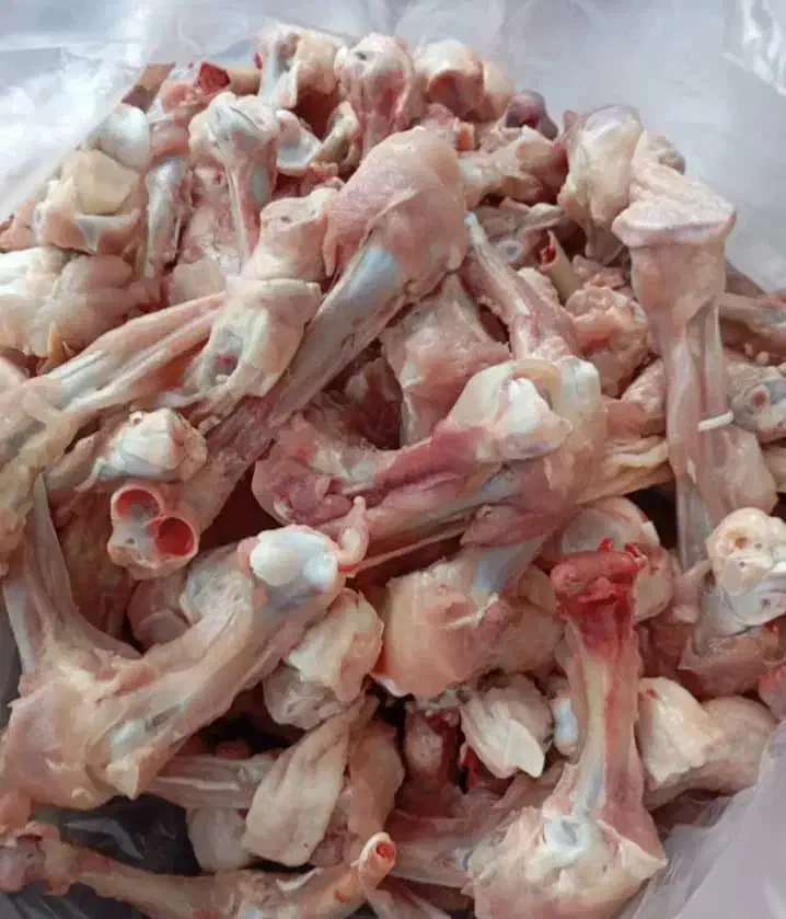 غذای سگ|لوازم جانبی حیوانات|رشت, سعدی (تختی)|دیوار