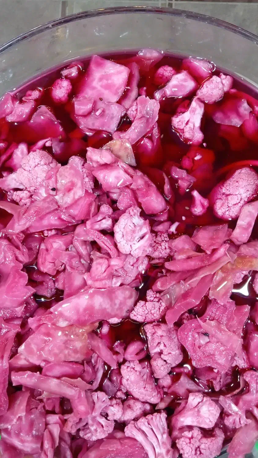ترشی خانگی|خوردنی و آشامیدنی|تربت‌حیدریه, باغ ملی|دیوار