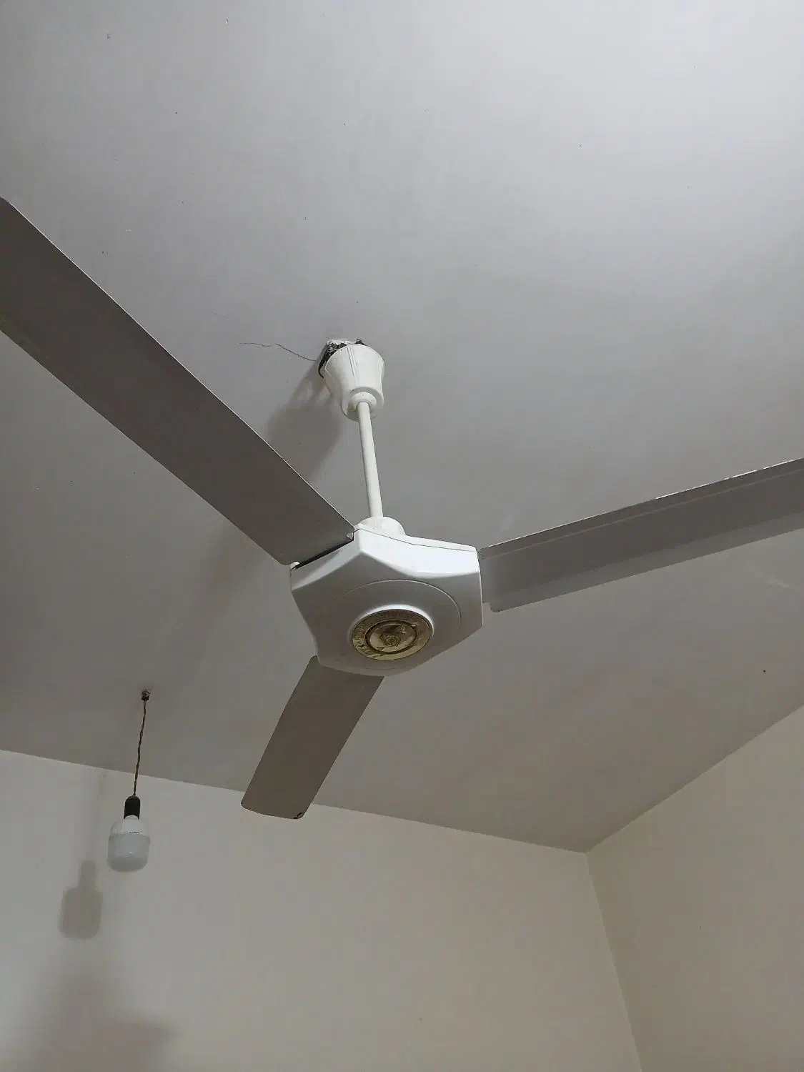 پنکه سقفی|پنکه و تصفیه‌کنندهٔ هوا|بندر ماهشهر, |دیوار