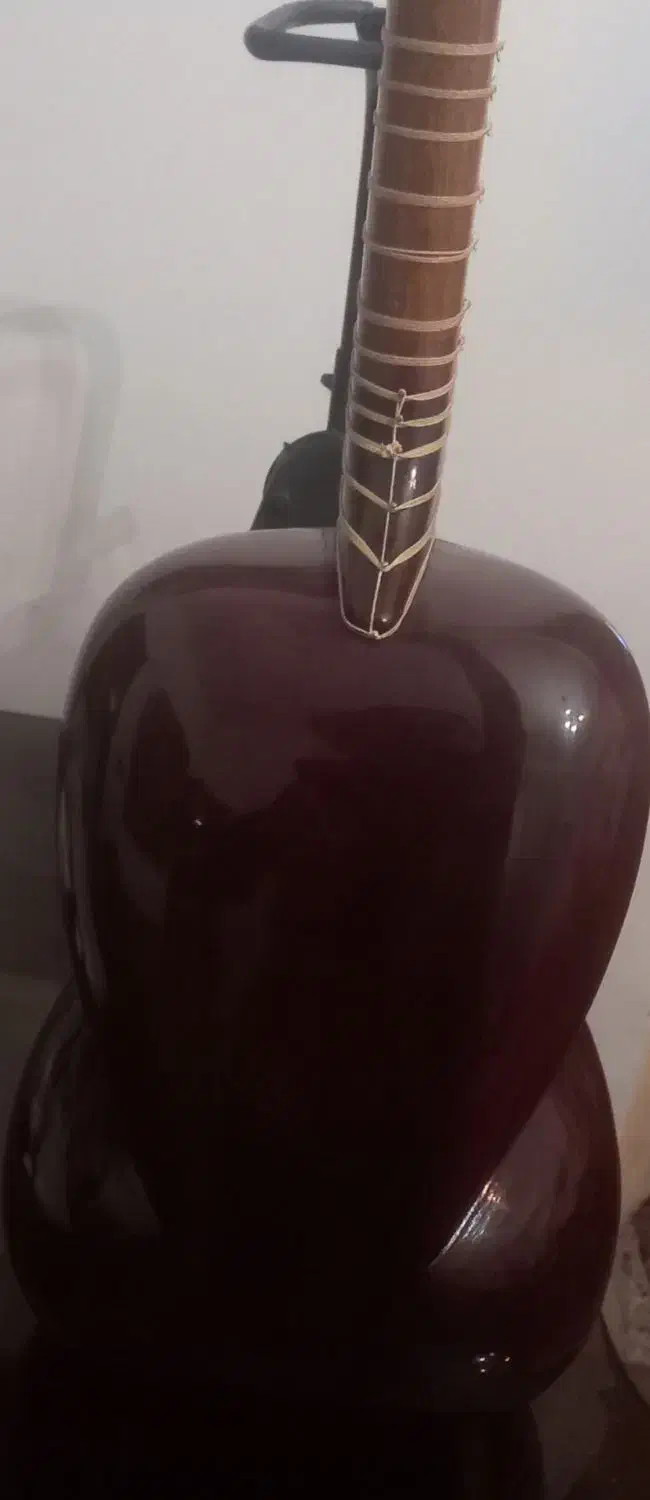 تار خوش صدا علیاری|سازهای سنتی|تهران, بهداشت|دیوار