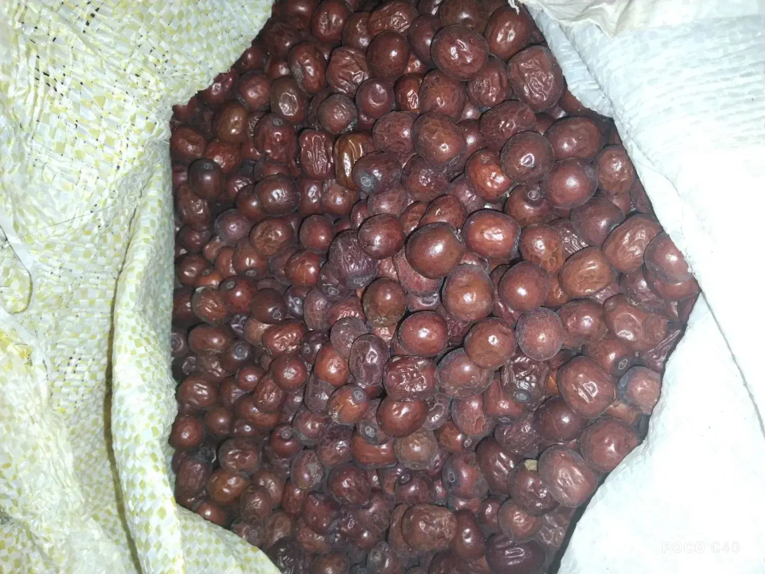 عناب تازه|خوردنی و آشامیدنی|خاش, |دیوار