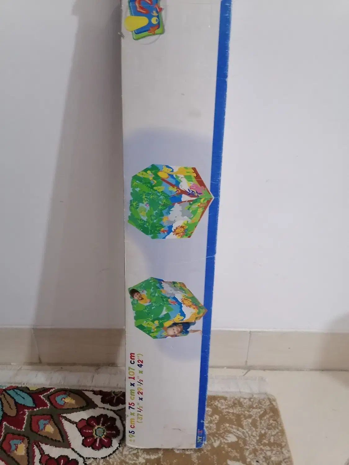 خانه بازی اینتکس|اسباب‌‌بازی|صدرا-فارس, فاز ۱|دیوار