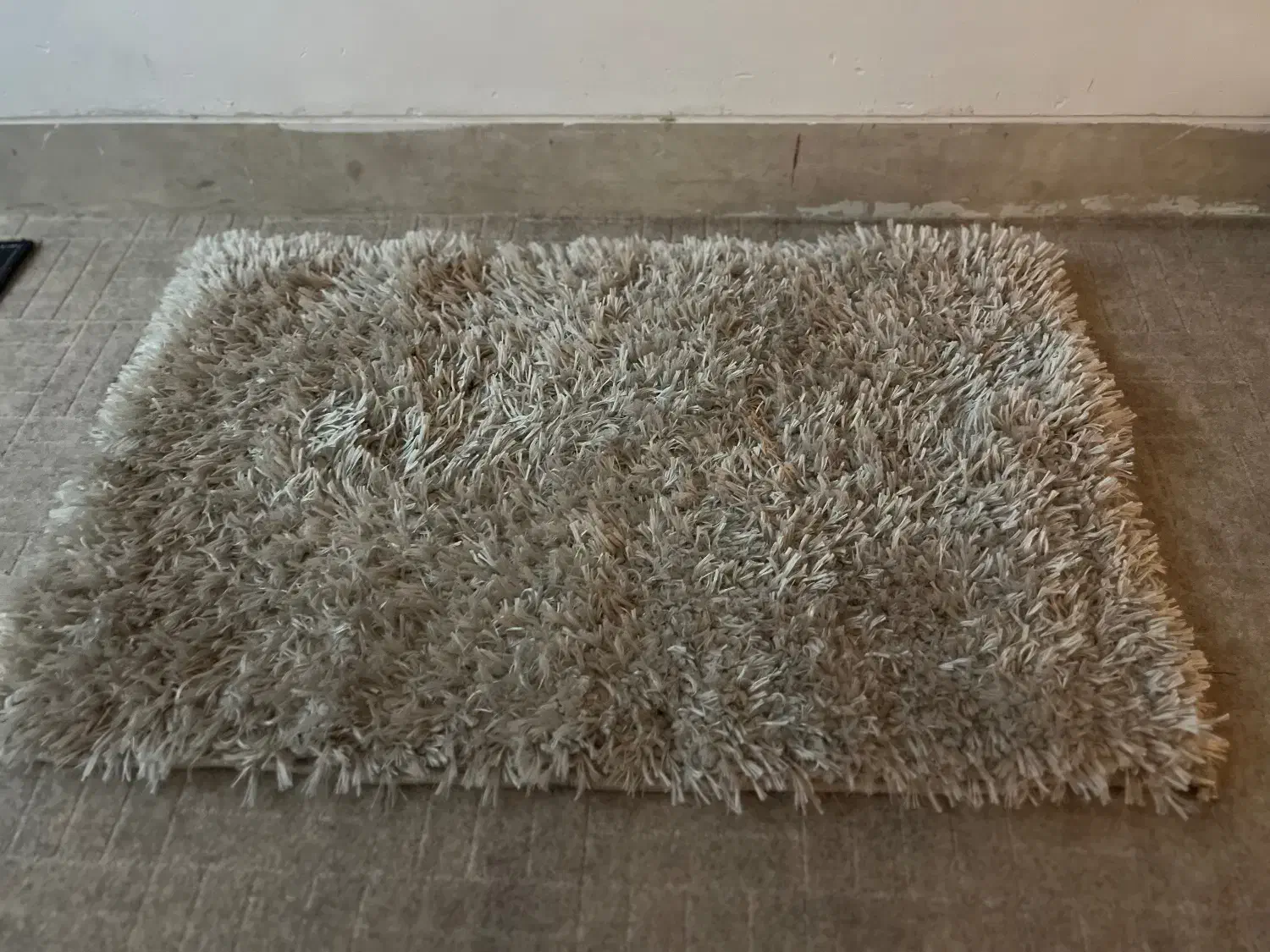 پادری|پادری|شیراز, احمدآباد|دیوار