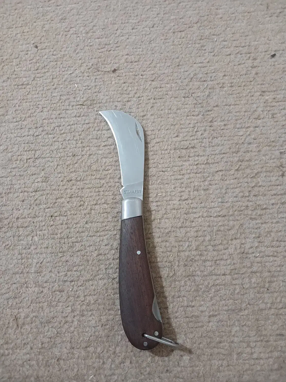 چاقو|کوهنوردی و کمپینگ|آزادشهر, |دیوار