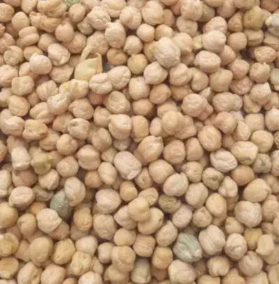 نخود|عمدهفروشی|ایوان, |دیوار