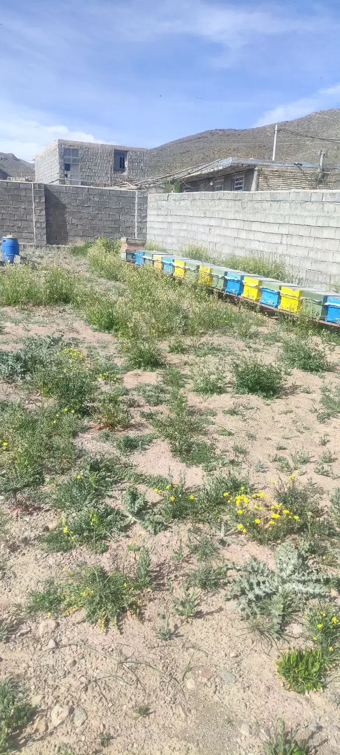 کندوی نبورعسل|حیوانات مزرعه|ایثار, |دیوار