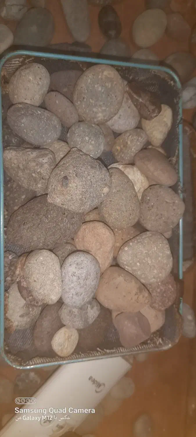 فروش شنگ های قیمتی خواص|کلکسیون اشیاء عتیقه|محمودآباد, |دیوار