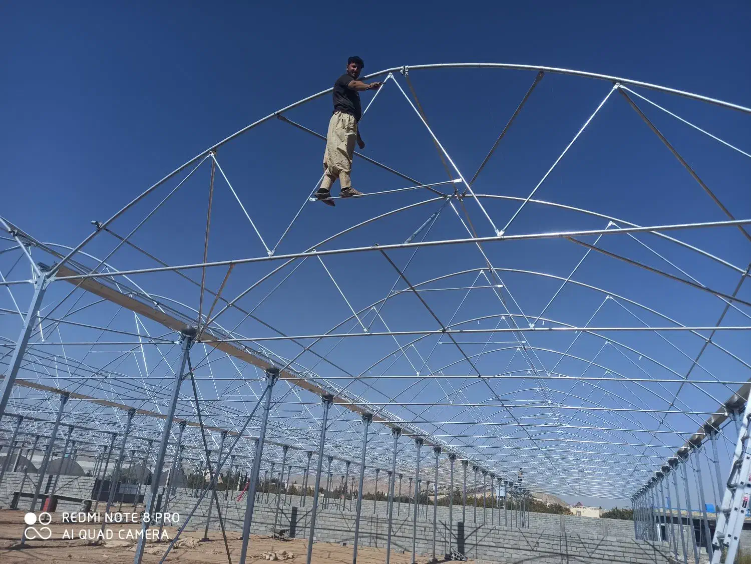 نیازمند کارگر برای ساخت گلخانه|استخدام صنعتی، فنی، مهندسی|بیضا, |دیوار