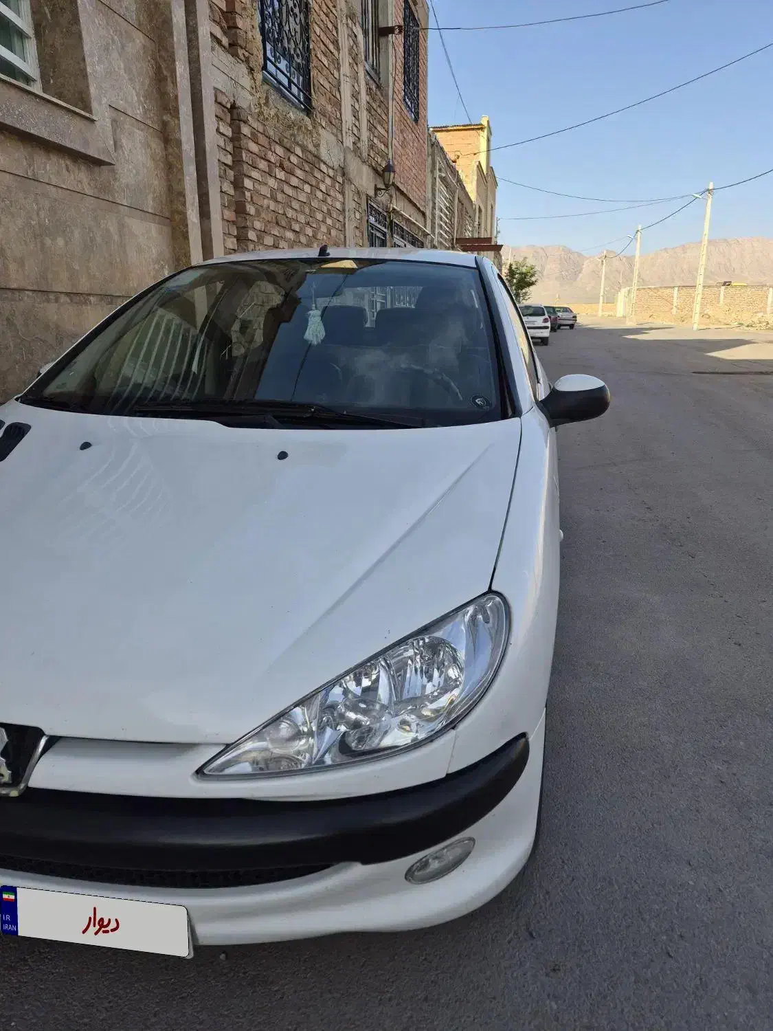 206sd v8|خودرو سواری و وانت|کرمان, |دیوار