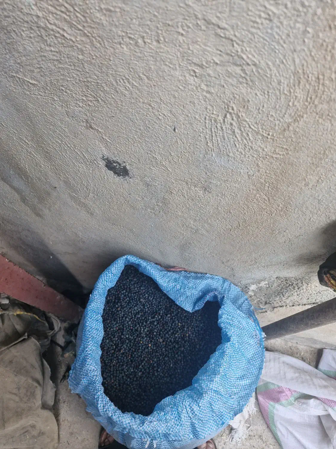 کلخنگ|خوردنی و آشامیدنی|کازرون, |دیوار