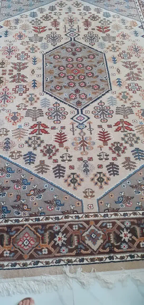 فرش ۶ متری|فرش|رشت, رودبارتان|دیوار