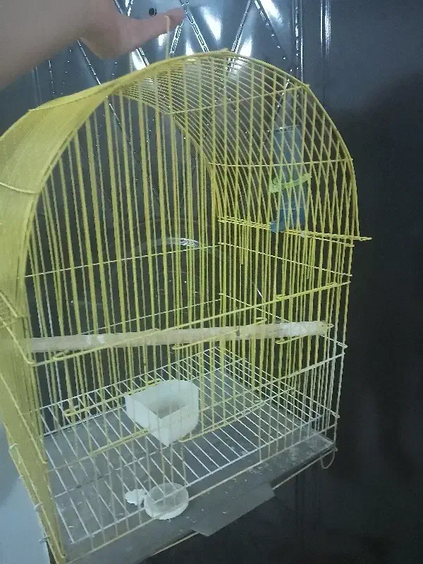 قفس پرنده|لوازم جانبی حیوانات|پرند, فاز ۶|دیوار