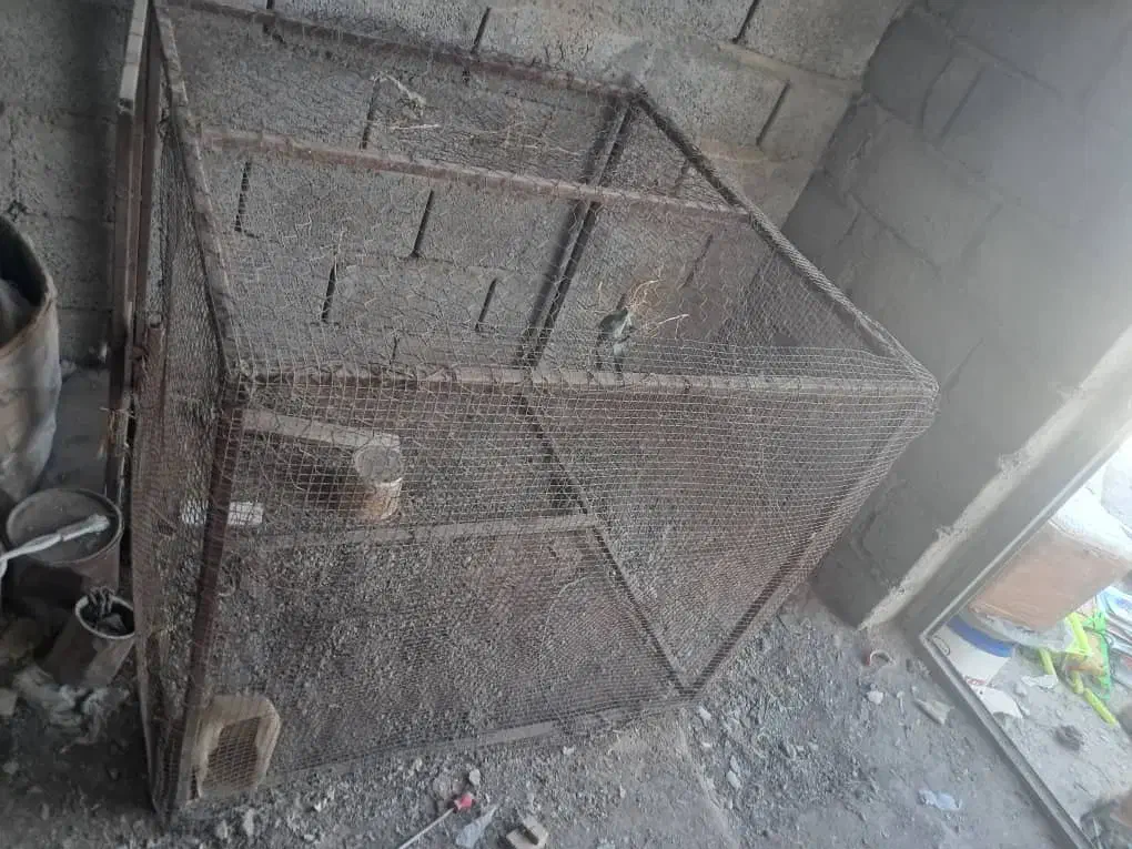 قفس بزرگ|لوازم جانبی حیوانات|میناب, |دیوار