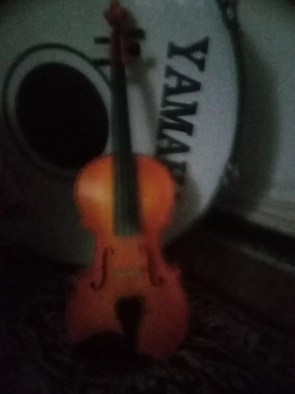 ویولون دست ساز ایراتی|ویولن|کرمان, |دیوار