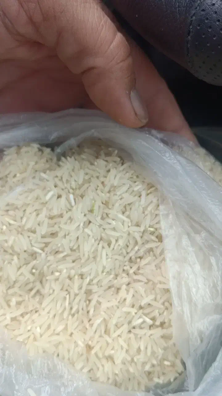 برنج‌فجر‌سوزنی‌قلم‌ریر|خوردنی و آشامیدنی|خان ببین, |دیوار