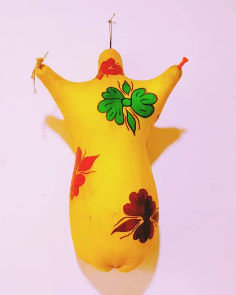 نی انبان|سازهای بادی|آبادان, |دیوار