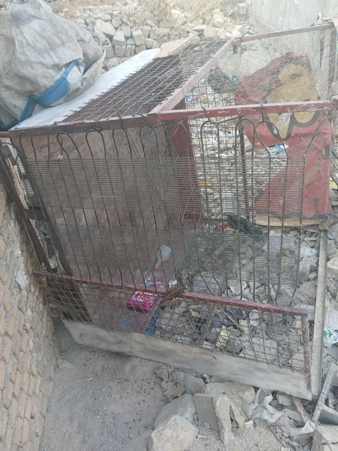 بودی سه چرخه|دوچرخه، اسکیت، اسکوتر|ایذه, |دیوار