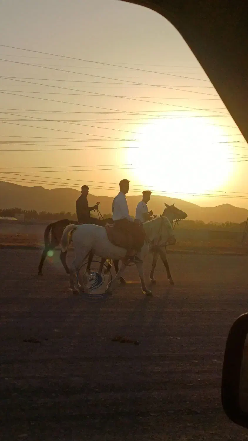 سوارکاری با اسب|اسب و تجهیزات اسب‌سواری|مشهد, شهرک صنعتی توس|دیوار