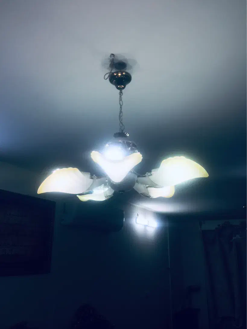 لوستر ۵ شاخه|لوستر و چراغ آویز|قم, انسجام|دیوار