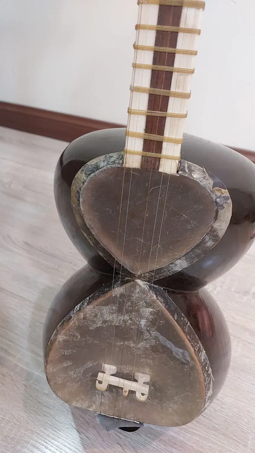 تار سالم|سازهای سنتی|تهران, دریان‌نو|دیوار