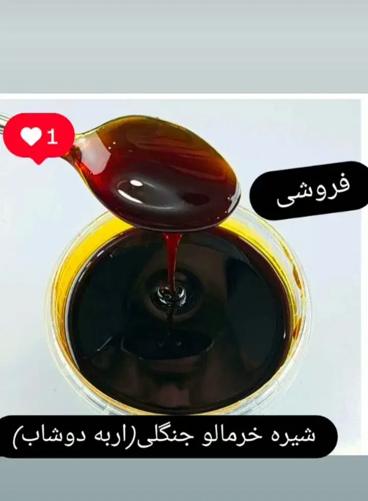 خرمالو جنگلی(اربه دوشاب) کیلویی 450|خوردنی و آشامیدنی|لاهیجان, بوجایه|دیوار