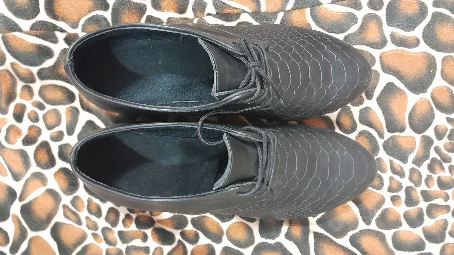 کفش نو|کیف، کفش، کمربند|قم, پردیسان|دیوار