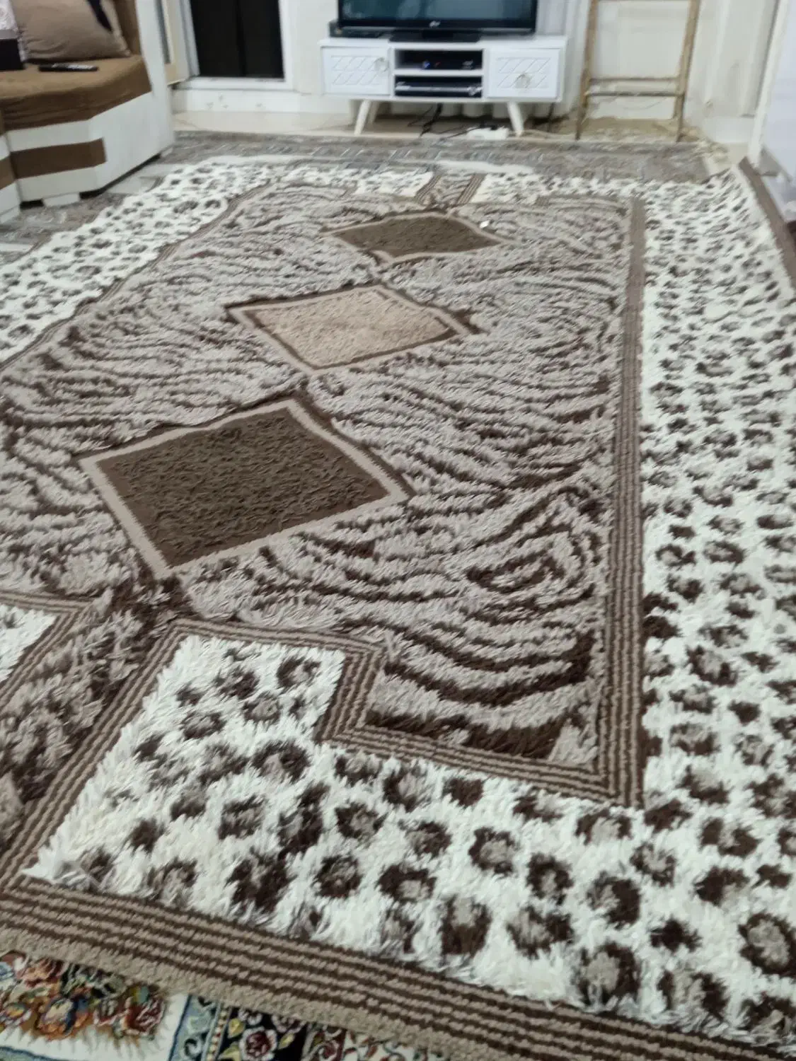 قالی فانتزی|فرش|اهواز, گلستان|دیوار