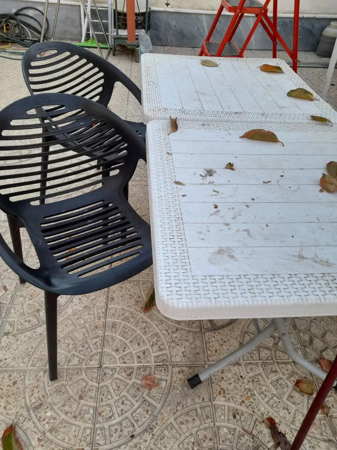 صندلی|کافیشاپ و رستوران|مراغه, |دیوار