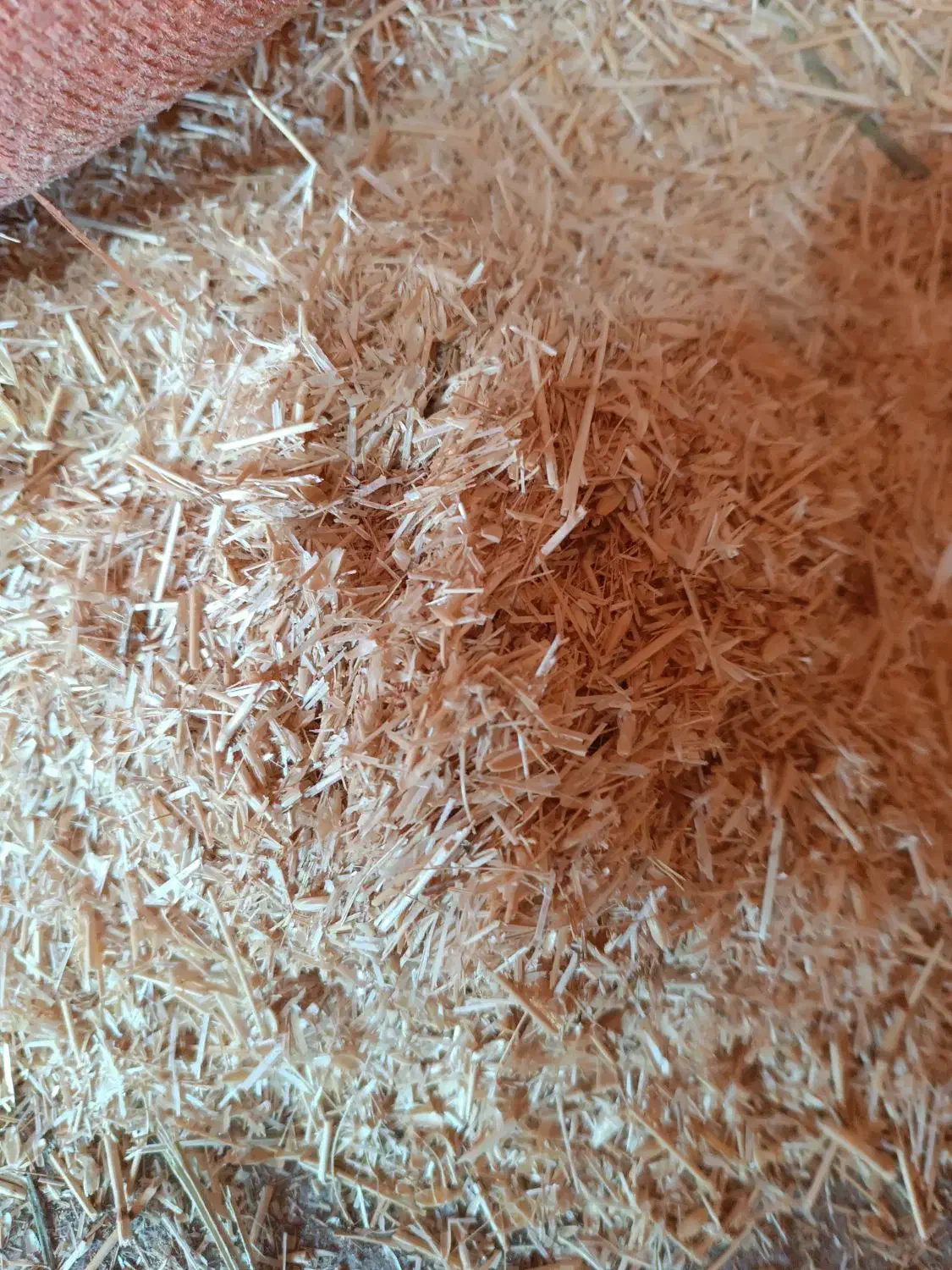 کاه نرم درجه یک کرمانشاه|خدمات باغبانی و درختکاری|سبزوار, قصبه غربی|دیوار