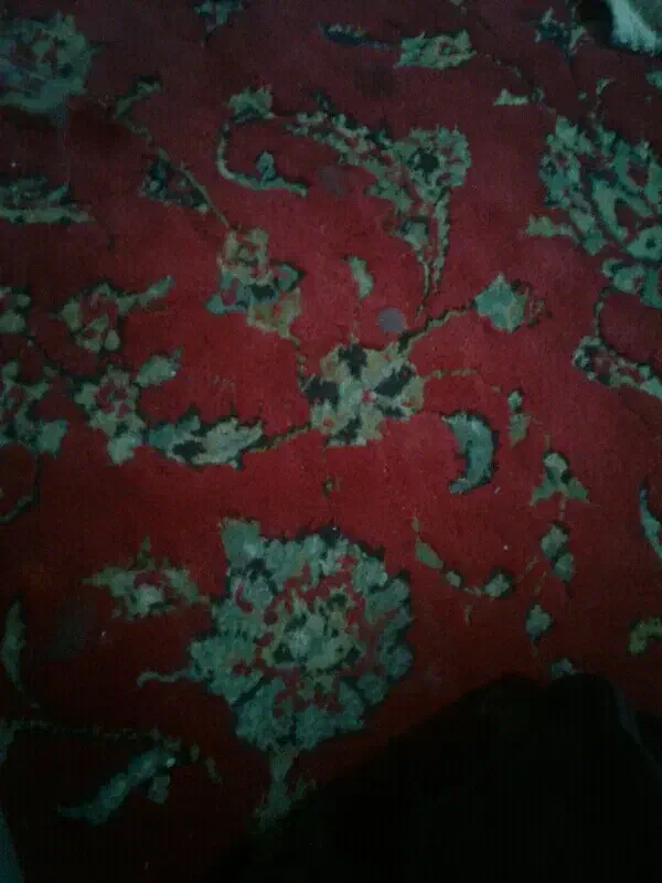 سند|فعالیت داوطلبانه|سبزوار, قصبه غربی|دیوار