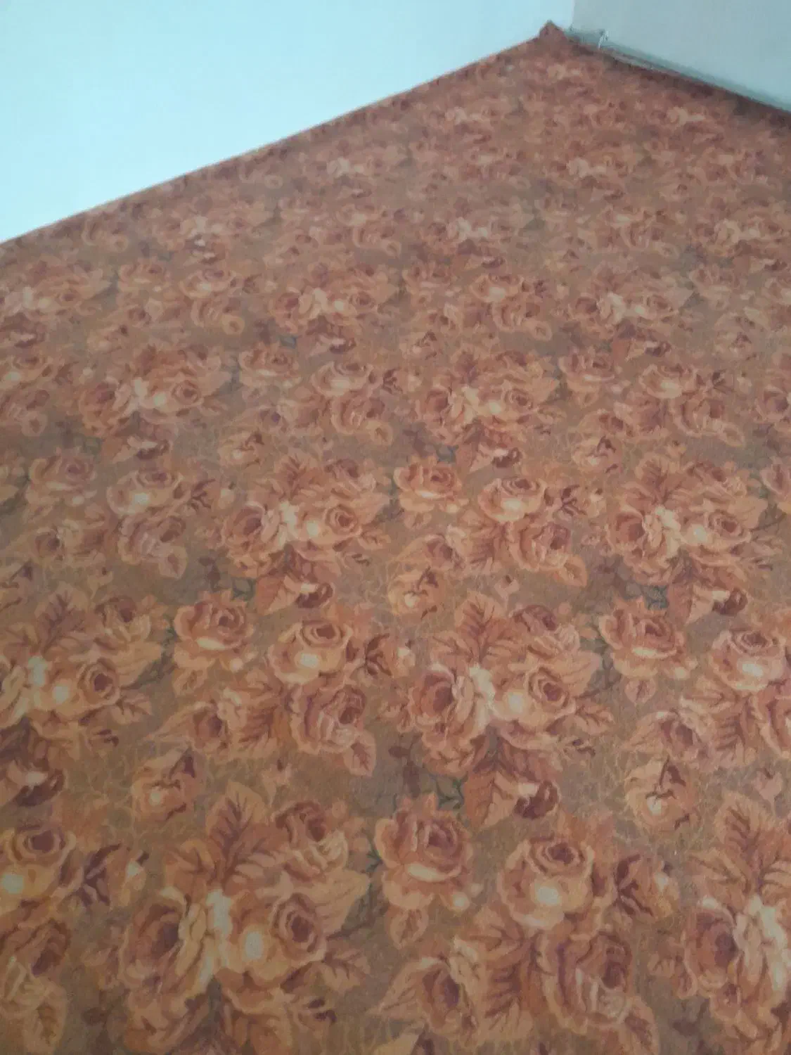 موکت|موکت|ارومیه, |دیوار