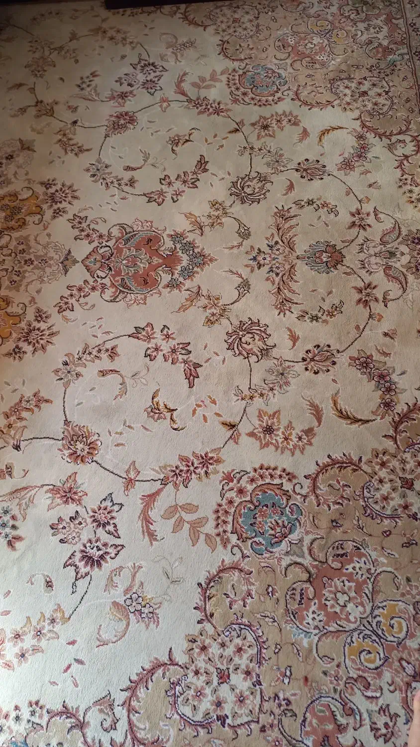 فرش ۱۲ متری|فرش|سمنان, |دیوار