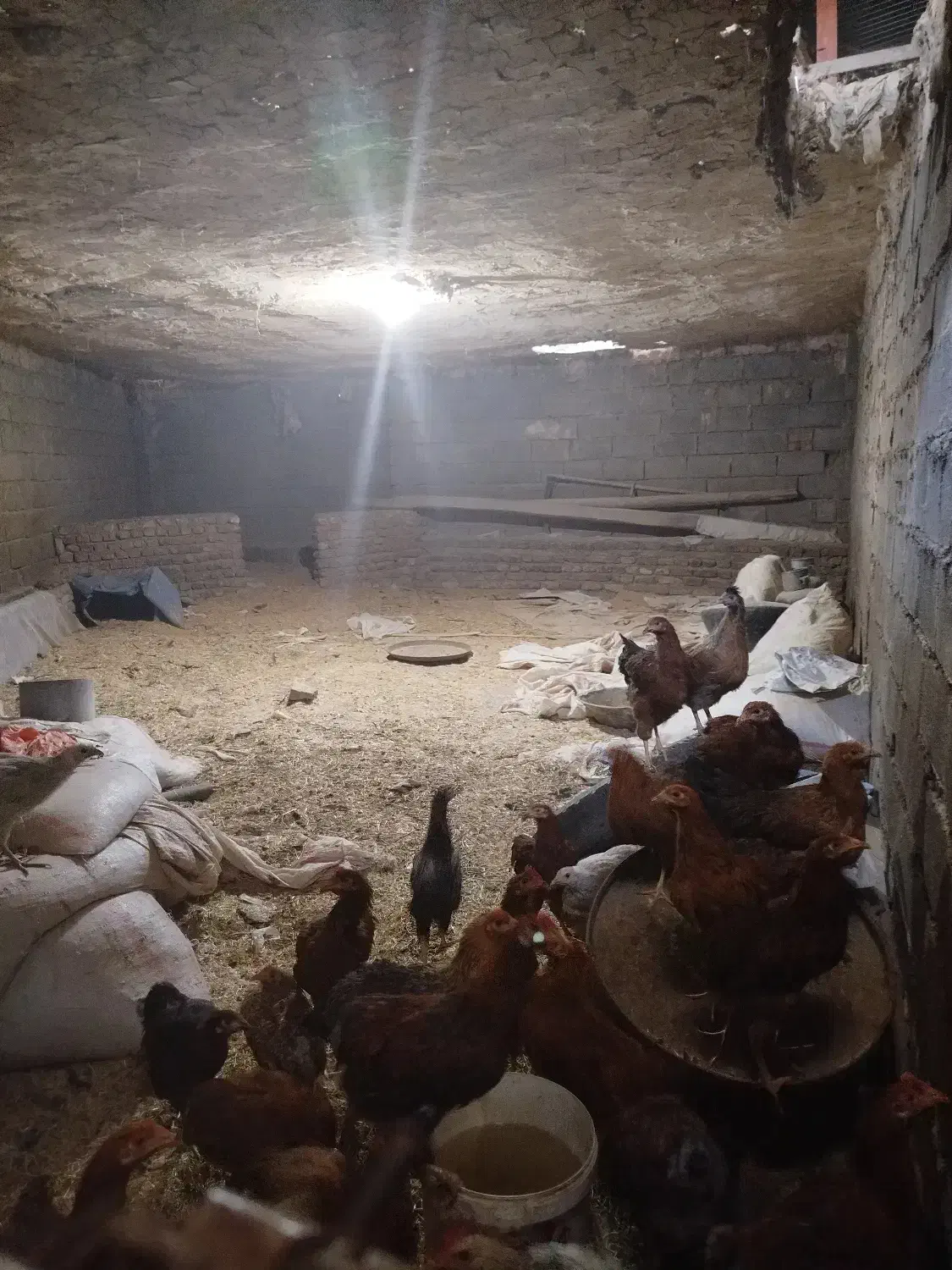 کارآفرینی|استخدام صنعتی، فنی، مهندسی|خرم‌آباد, |دیوار