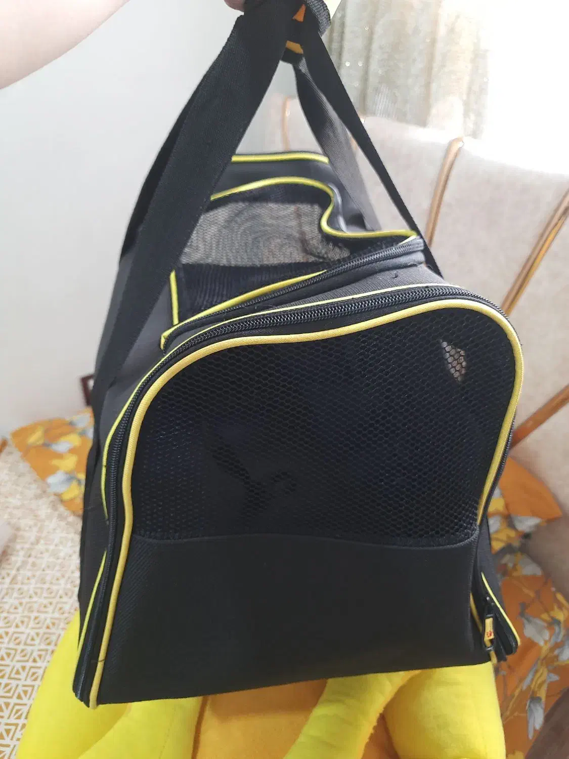 باکس حیوانات|لوازم جانبی حیوانات|رشت, پیرسرا|دیوار