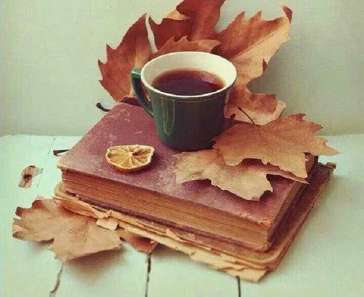 09101501004|سیم‌کارت|شیراز, آبزنگی|دیوار