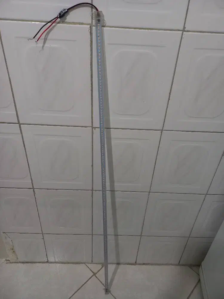 لامپ یک متری|ریسه و چراغ تزئینی|میاندوآب, |دیوار