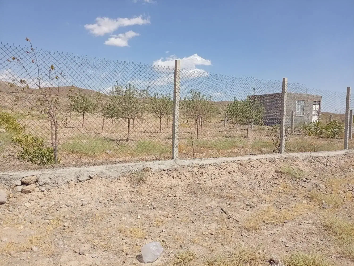 باغ به متراژ 12من|فروش دفتر صنعتی، کشاورزی، تجاری|بناب, |دیوار