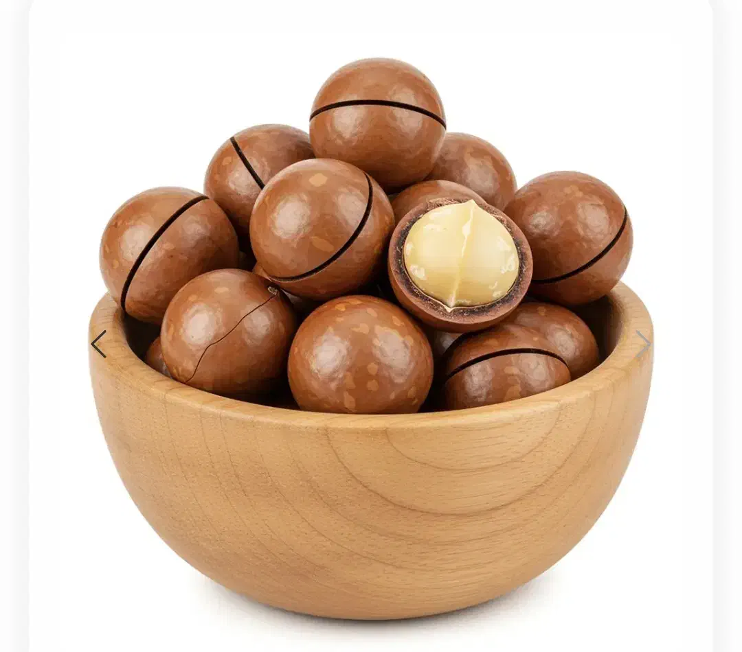 ماکادمیا 2XL( فندق استرالیای)|خوردنی و آشامیدنی|تربت جام, پاسداران|دیوار