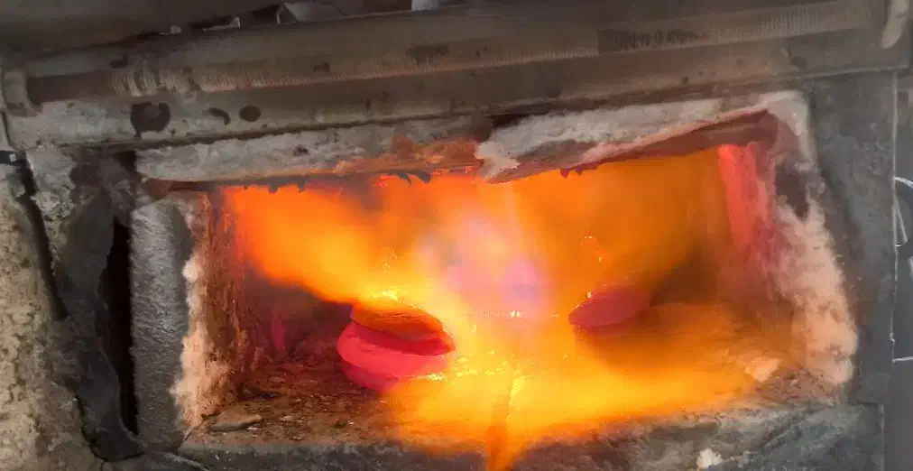 نعل بندی(داغ)و سرد|اسب و تجهیزات اسب‌سواری|مشهد, وکیل‌آباد|دیوار