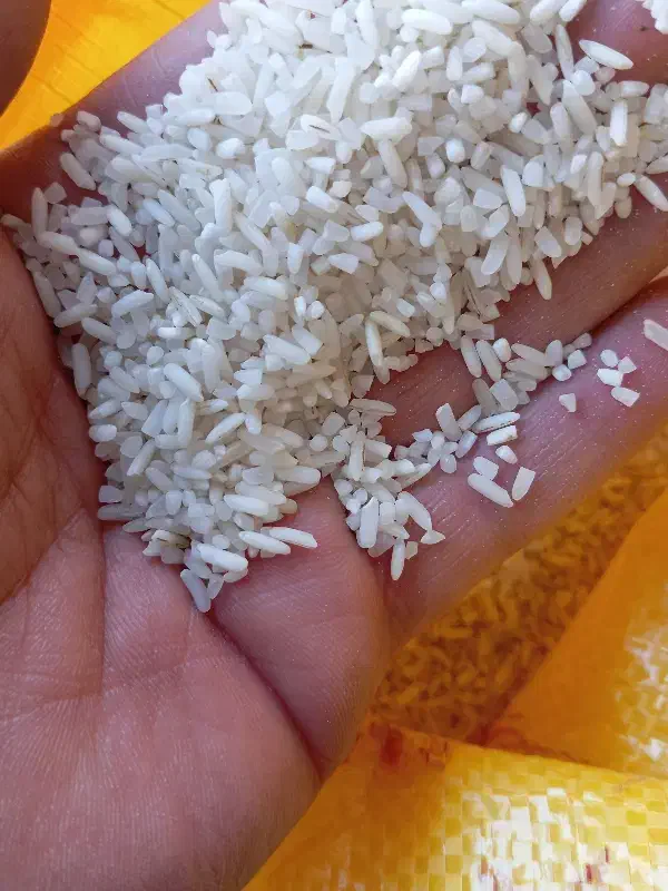 برنج سر لاشه هاشمی|خوردنی و آشامیدنی|پاکدشت, شهرک انقلاب|دیوار