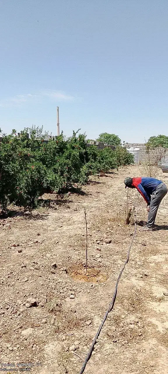 باغچه ۵۳۰ متری کهریزک جاده خاوران بعداز شریف اباد|فروش زمین و ملک کلنگی|شریف‌آباد, |دیوار