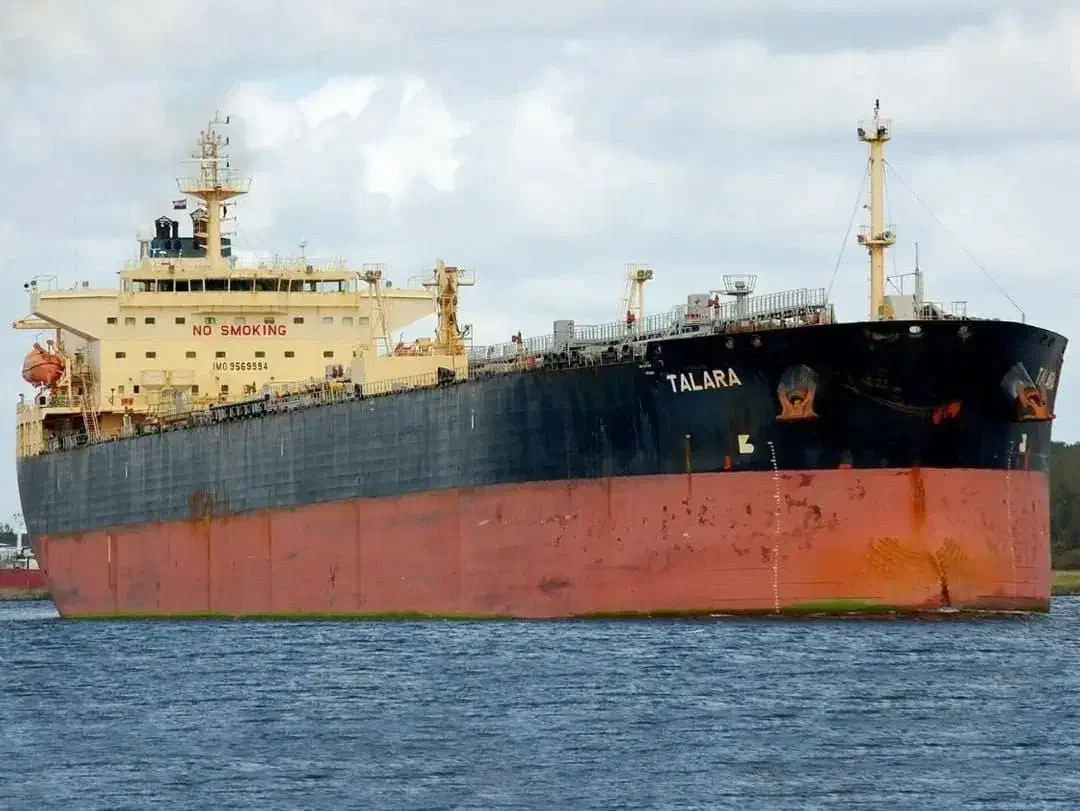 مهاجرت|فعالیت داوطلبانه|قم, چهل درخت‎|دیوار