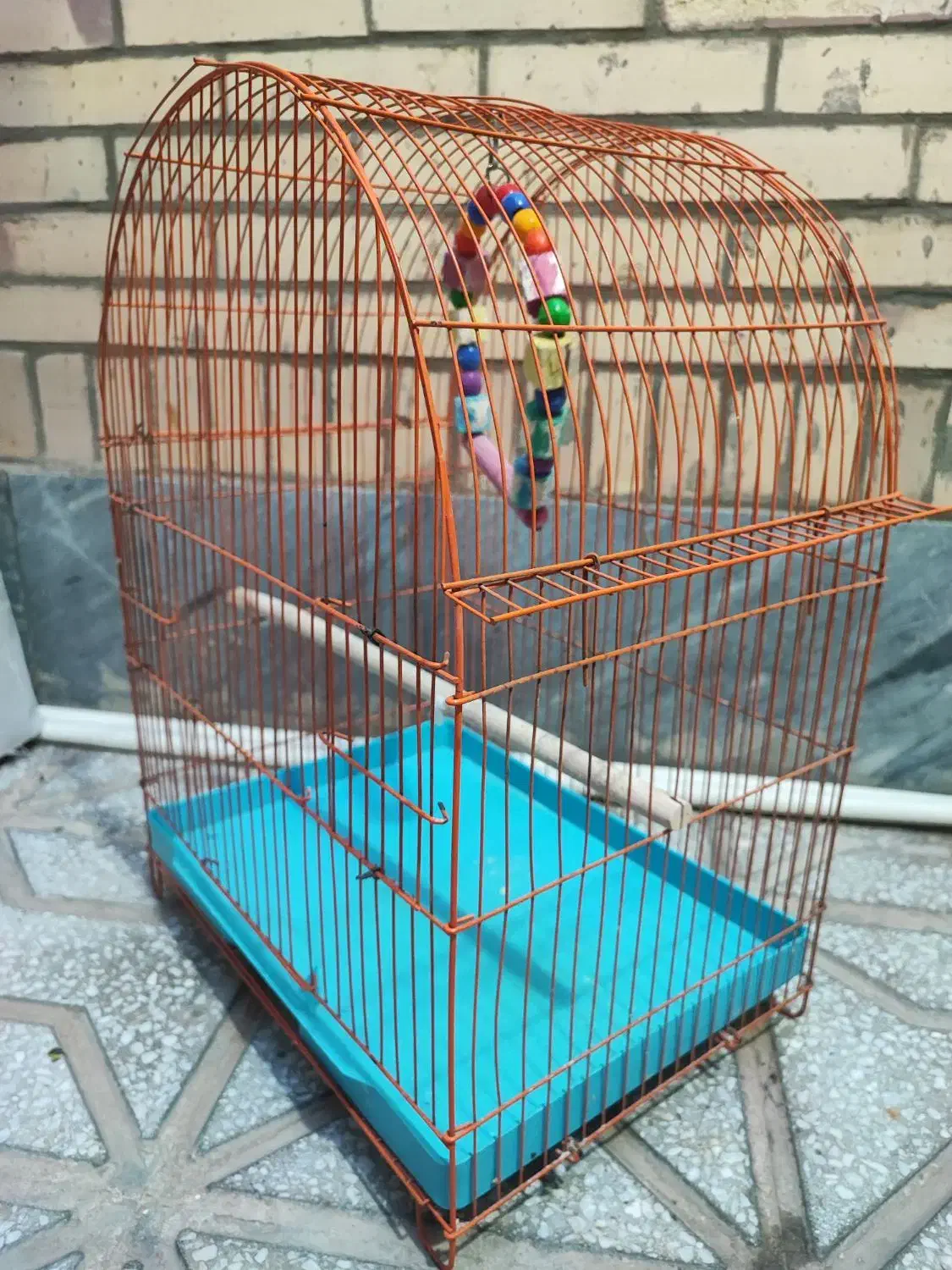 قفس پرنده|لوازم جانبی حیوانات|طبس, |دیوار