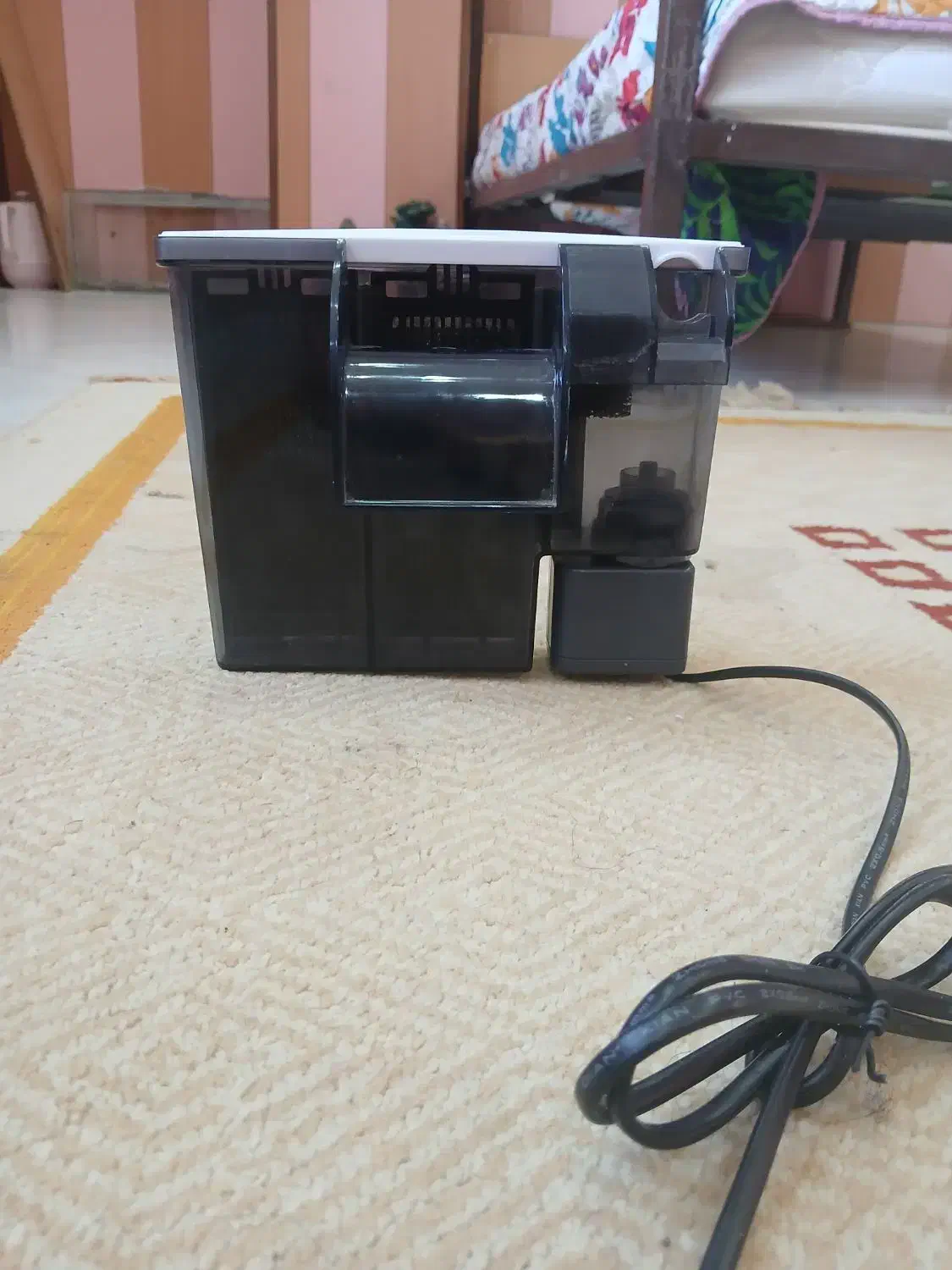 لوازم جانبی آکواریوم|ماهی|بندرعباس, |دیوار